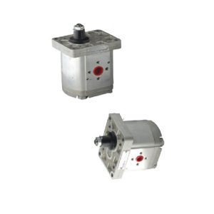 1 SP SERİSİ STANDART DİŞLİ POMPALAR