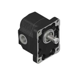 2 SERİSİ DÖKÜM GÖVDE DİŞLİ POMPALAR