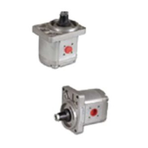 2 SP SERİSİ B80 DİŞLİ POMPALAR