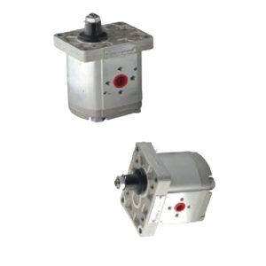 2 SP SERİSİ STANDART DİŞLİ POMPALAR