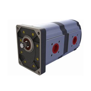 2P1 SERİSİ DİŞLİ POMPALAR