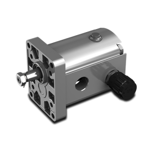 2SM SERİSİ TEK YÖNLÜ DİŞLİ MOTORLAR