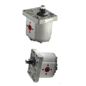 3 SP SERİSİ STANDART DİŞLİ POMPALAR