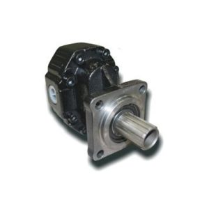 B34G SERİSİ DÖKÜM GÖVDE DİŞLİ POMPALAR