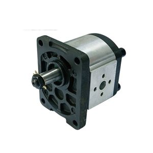 GR2 SERİSİ STANDART DİŞLİ POMPALAR