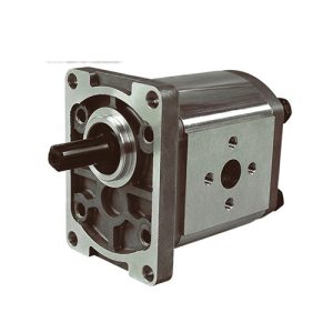 GR3 SERİSİ STANDART DİŞLİ POMPALAR